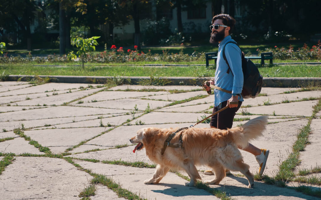 Walking dog in public