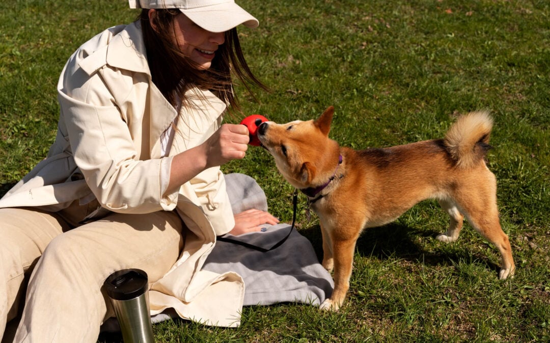 Woman playing with cute dog