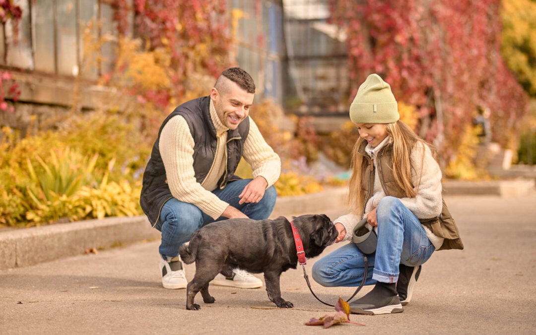 Greeting Guests, People, and Other Dogs: A Guide to Polite Canine Interactions in Bremerton